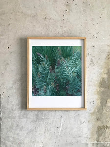 Garten (Slowflower Fritillaria) - Limited Print