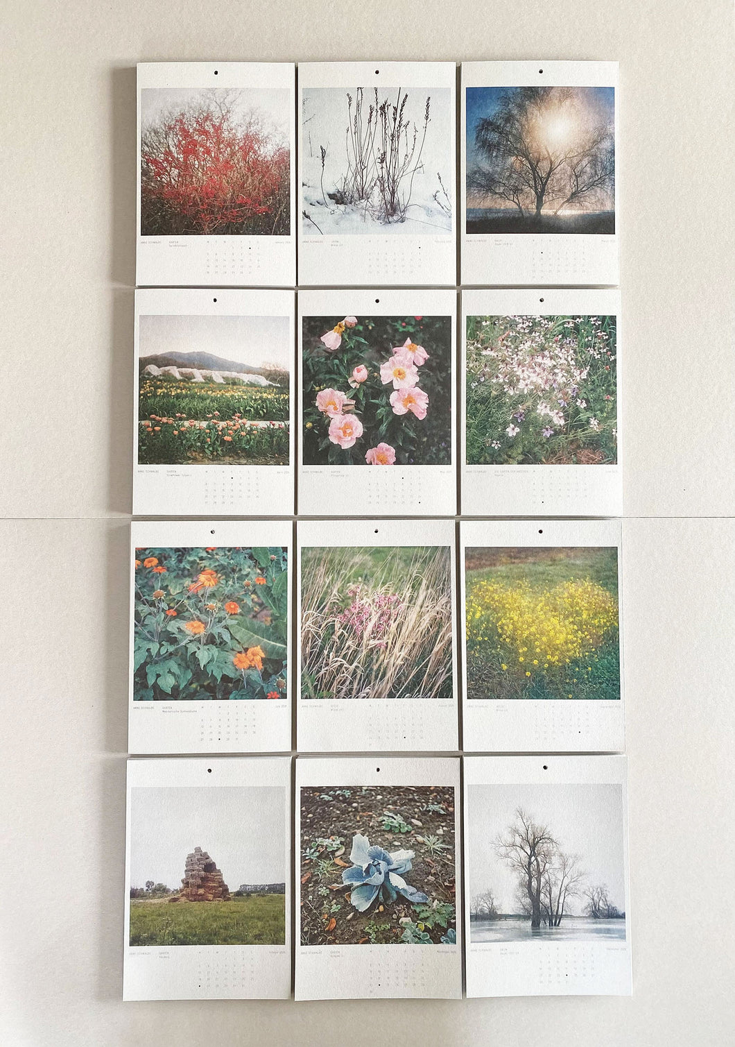 WIESE GARTEN BAUM Calendar 2026