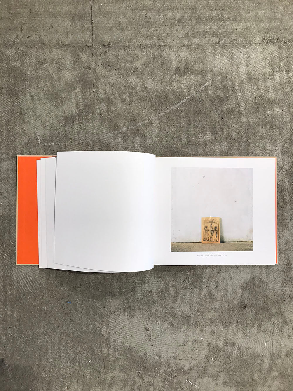 Books – anneschwalbe