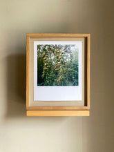 Load image into Gallery viewer, GARTEN (Birnen II) - Limitierter C-Print