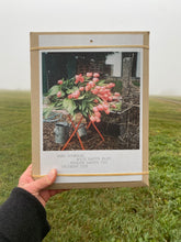 Load image into Gallery viewer, WIESE GARTEN BAUM Calendar 2026