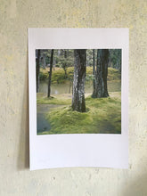 Load image into Gallery viewer, JAPAN Moosgarten I (Saiho-ji) Poster A2