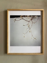 Load image into Gallery viewer, JAPAN Omotesando III - Limitierter C-Print