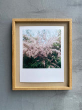 Load image into Gallery viewer, GARTEN (Tamariske) - Limitierter C-Print