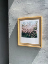 Load image into Gallery viewer, GARTEN (Tamariske) - Limitierter C-Print