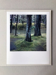JAPAN Moosgarten I - Limited C-Print