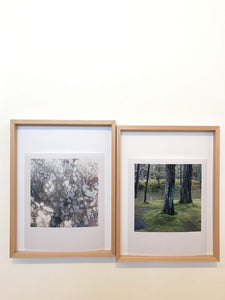 JAPAN Moosgarten I - Limited C-Print