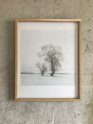 Baum 1755-3 Limited C-Print