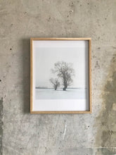 Load image into Gallery viewer, Baum 1755-3 Limited C-Print