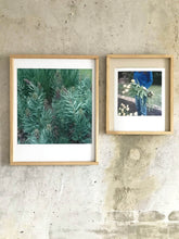 Load image into Gallery viewer, Garten (Slowflower Paz) - Limited C-Print
