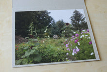 Load image into Gallery viewer, There is a white horse in my garden - The Print