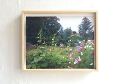 Load image into Gallery viewer, There is a white horse in my garden - The Print