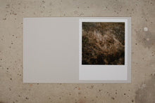 Load image into Gallery viewer, Wiese - Limited Edition &quot;Wiese X&quot;