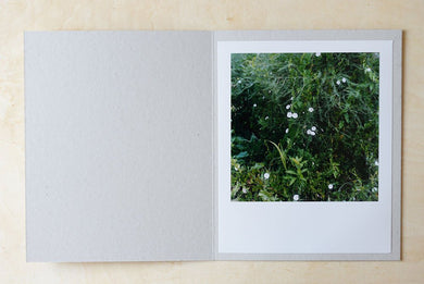 Garten VII - Limited Print