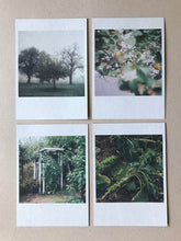 Load image into Gallery viewer, ZEITmagazin Die Gärten der Anderen I - A Selection of 4 Photographs