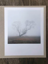 Load image into Gallery viewer, BAUM 1621-5 Signed C-Print
