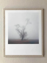 Load image into Gallery viewer, BAUM 1621-6 Signed C-Print 24x30cm