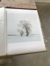 Load image into Gallery viewer, Baum 1755-3 Limited C-Print