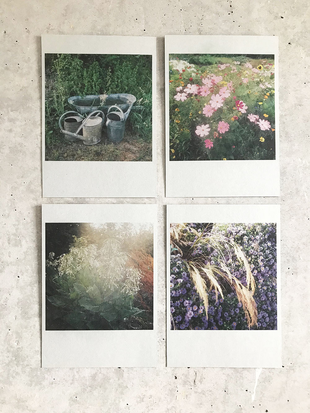 ZEITmagazin Die Gärten der Anderen II - A Selection of 4 Photographs