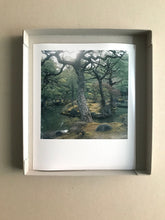 Load image into Gallery viewer, JAPAN Ginkaku-ji II - Limited C-Print