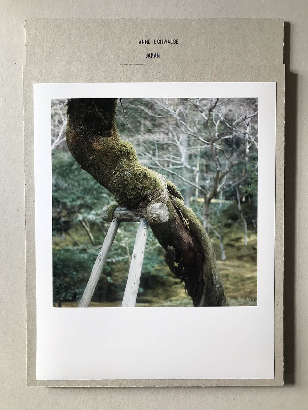 Limited Editions – anneschwalbe