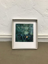 Load image into Gallery viewer, Garten (Kornblume) - Limited C-Print