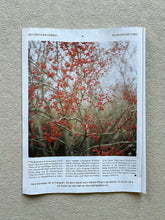Load image into Gallery viewer, ZEITmagazin Gartenkolumne FineArt Print Spindelstrauch
