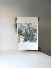 Load image into Gallery viewer, Garten (Silberblatt) Large Limited C-Print