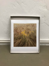 Load image into Gallery viewer, Wiese LIV - Limited C-Print