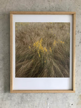 Load image into Gallery viewer, Wiese LIV - Limited C-Print