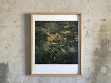 Load image into Gallery viewer, Wiese XXXVII - Limited C-Print